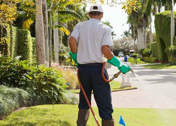 About Flintville TN Pest Control Pros